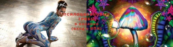 марки nbome Гусь-Хрустальный