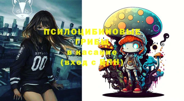 кристаллы Гусиноозёрск