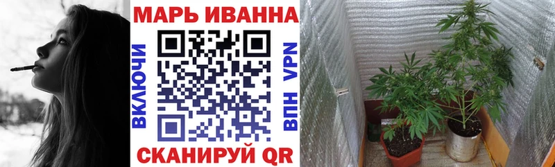 Купить где  Сегежа  Бошки марихуана планчик 
